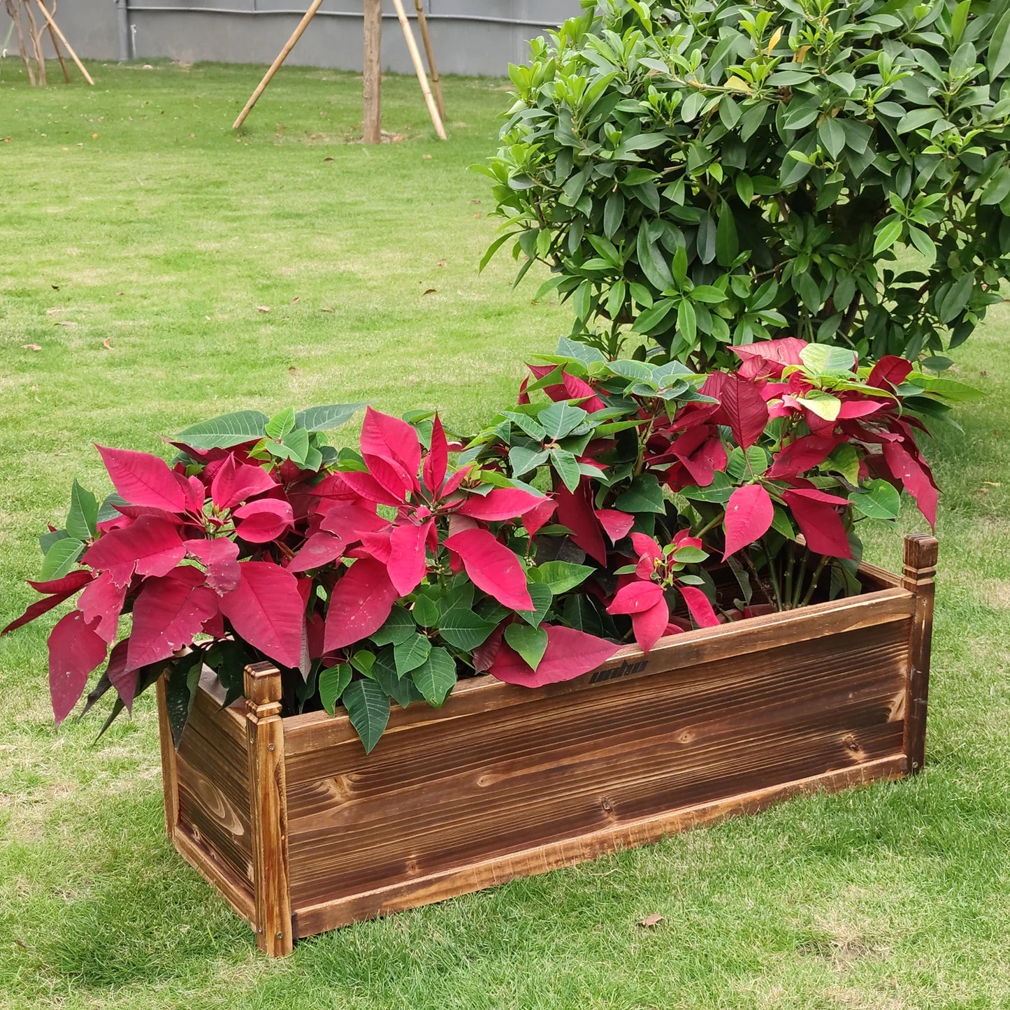 Raised Wood Flower or Vegetable Planters