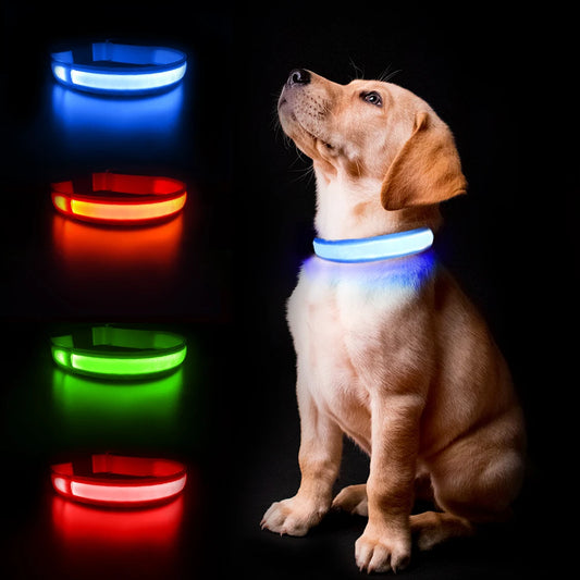 Luminous, Waterproof Dog Collar