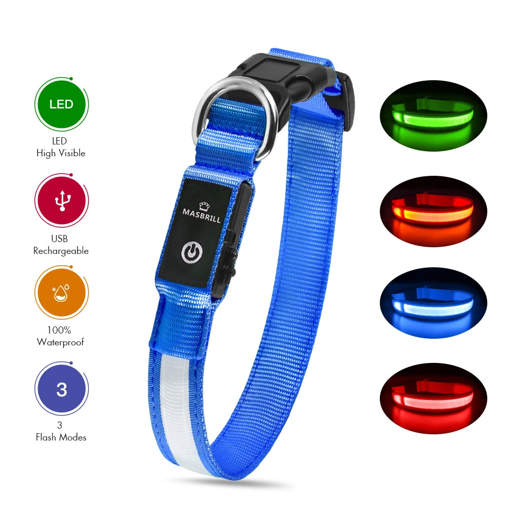 Luminous, Waterproof Dog Collar