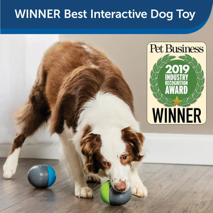 Interactive Dog Toy, Battery-Operated - 2 Smart Paired Toys