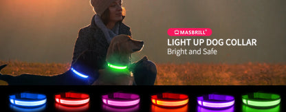 Luminous, Waterproof Dog Collar