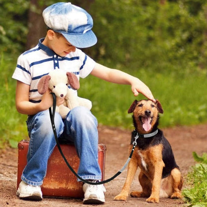 Multi color studded pet collar and leash set