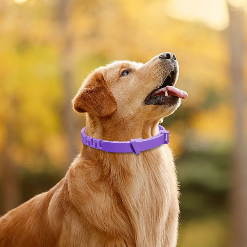 Pet Stress and Anxiety Calming Collars for Cats or Dogs