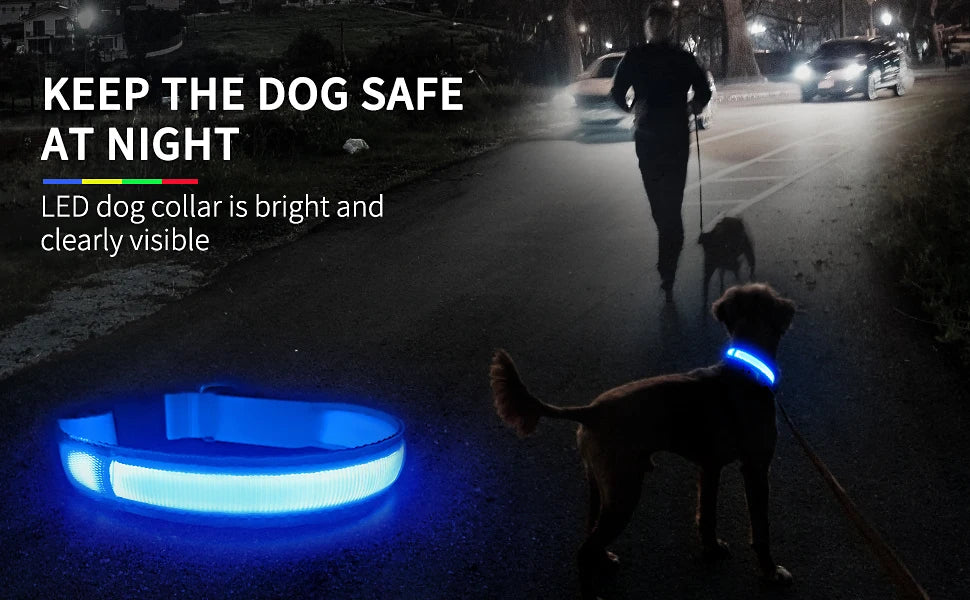 Luminous, Waterproof Dog Collar