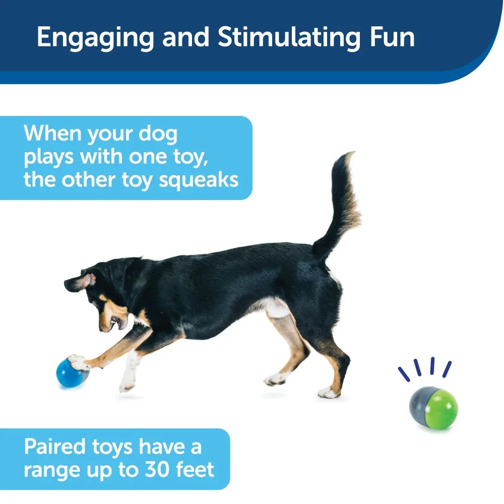 Interactive Dog Toy, Battery-Operated - 2 Smart Paired Toys