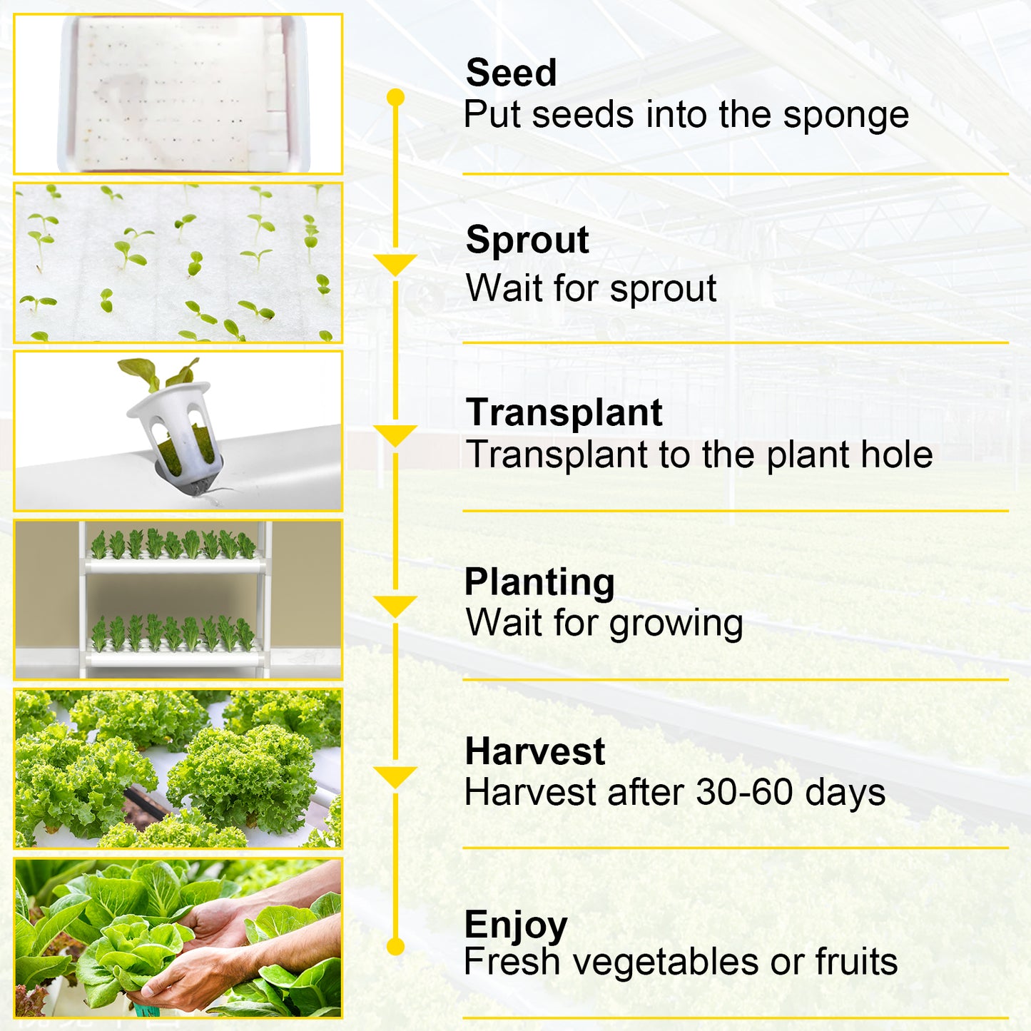 Hydroponic Grow System - 36/54/72/90/108 Plants